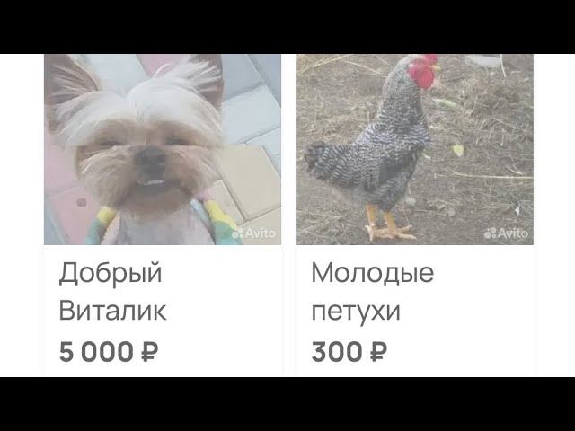 мы родились в сибири//украли и продали?//обзор канала смотреть онлайн