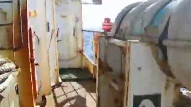 Быстрый бег смотреть онлайн