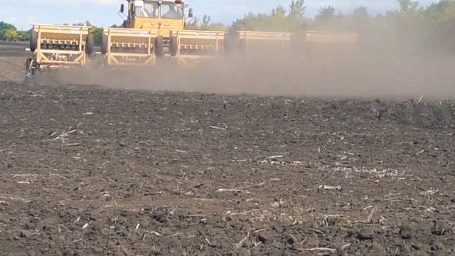 Сев озимых на тракторе к 701 с сеялкой 5 Скп 2.1 смотреть онлайн