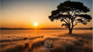 Monkey Safari - Push Me (Original Mix)
              !Organic House!