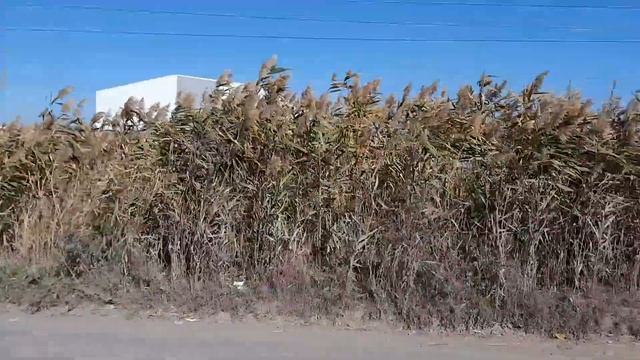 дорога к заводу ЭМПИЛС смотреть онлайн