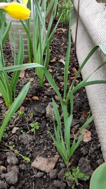 9 апреля 2023 г. смотреть онлайн