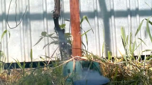 лента из петард