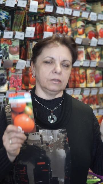 Почему все так любят томат сорта санька? смотреть онлайн