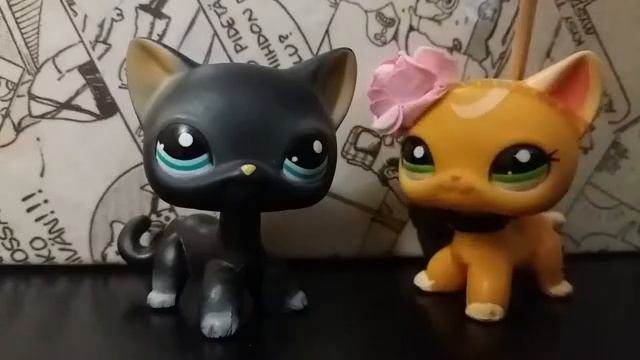 LPS: кошки стоячки! смотреть онлайн