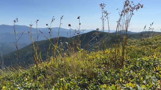 Карпати. Ментальне оновлення. 2023