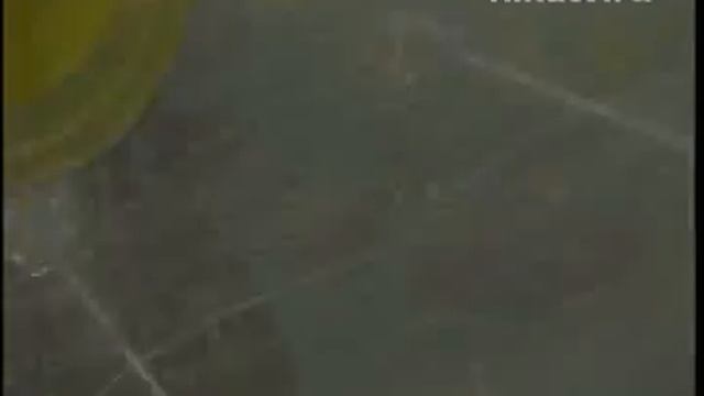 Пляжные аттракционы.flv смотреть онлайн