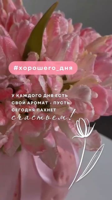 Доброе утро и хорошего дня... смотреть онлайн