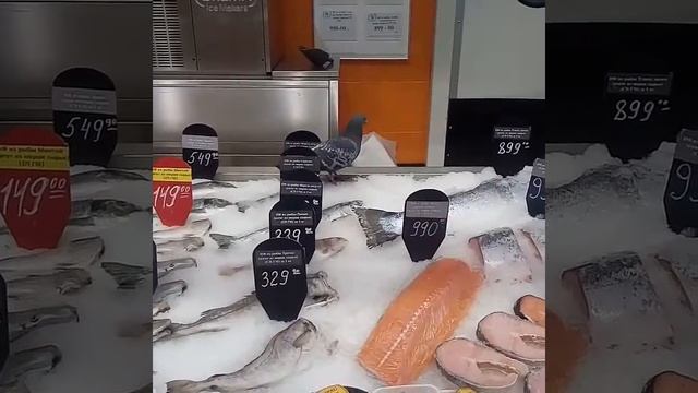Гипермаркет Магнит Нижневартовск смотреть онлайн