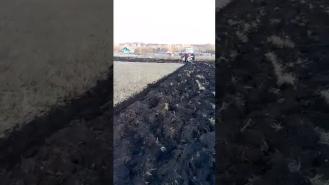 Янмар 80л.с работа с оборотным японским плугом СУГАНО смотреть онлайн