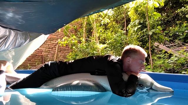 Ride and Deflate Intex Dolphin in my pool. смотреть онлайн