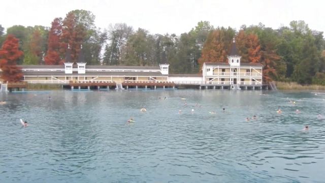 Хевиз. Термальное озеро.Поездка на Балатон.