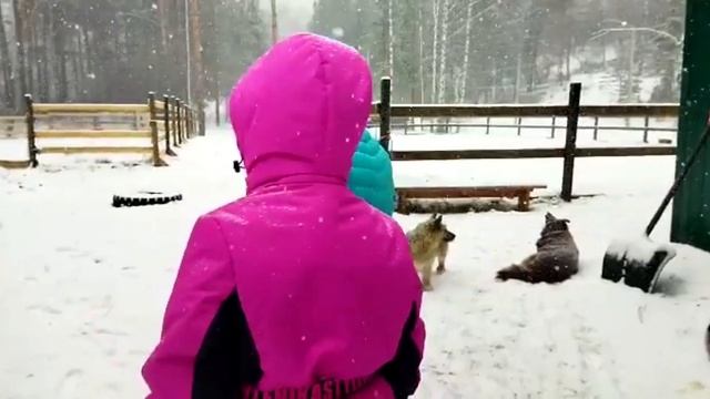Прогулка на лошадях. смотреть онлайн