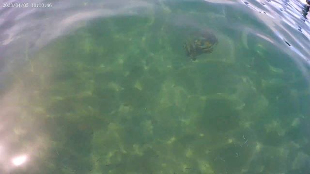 Seti Sharm Palm Beach Resort