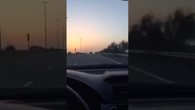 Терек Дубай Сафари смотреть онлайн