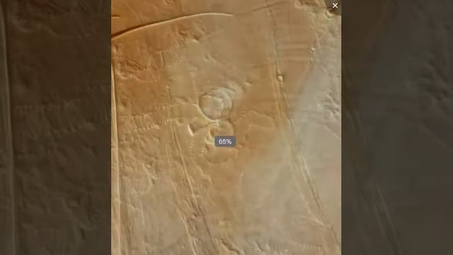 Tour around a flea смотреть онлайн