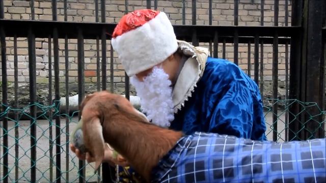 Как Дед Мороз ест картошку с мясом