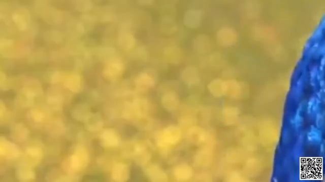 Маша та Ведмідь 💥 Нова серія 💥🍰Щось смачненьке 🧁 Збірник серій смотреть онлайн
