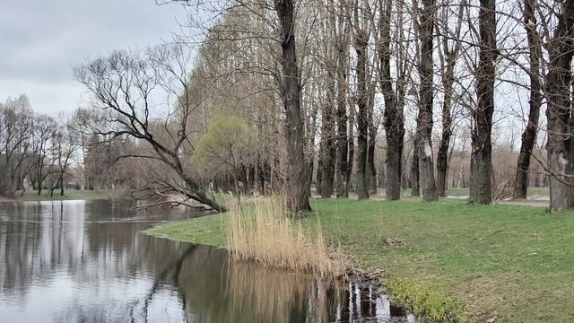 Поэзия в парке Победы . смотреть онлайн