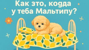 7 ВАЖНЫХ правил совместной жизни с Мальтипу!