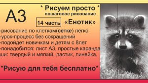 Енот часть 14 Рисунок карандашом БЕСПЛАТНО процесс БЕЗ СОКРАЩЕНИЙ с помощью сетки ПОШАГОВО