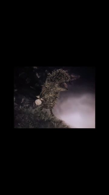 21.04.2025 г. Ставрополь смотреть онлайн