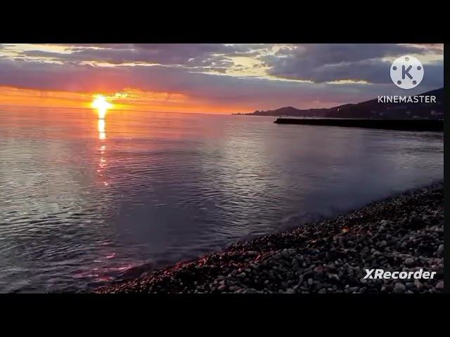 мы родились в сибири//штраф 50 тыс //новый сценарий//обзор канала смотреть онлайн