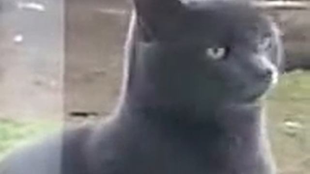 Саня открой;)))))))))))))))))))))))))))))))).mp4 смотреть онлайн