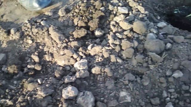 Немного поздно, но высадили арбузы. смотреть онлайн