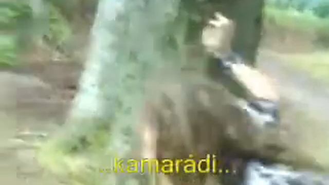 kolínkem do bradičky смотреть онлайн