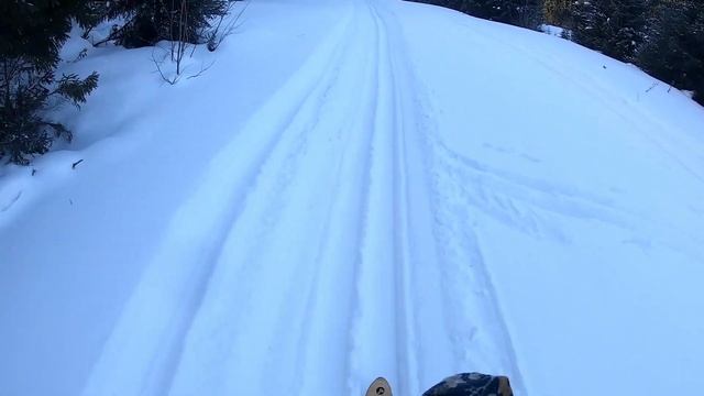 Охотничий биатлон Суна 2023 смотреть онлайн