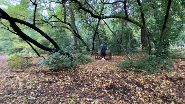 Hafta İçi Tatili! Arabaya Atladık Rastgele Sürdük | Limon Bahçeleri, Marmaris Milli Parkı смотреть онлайн