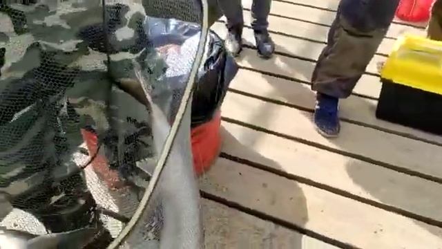 Поимка Белуги, Красногорск смотреть онлайн