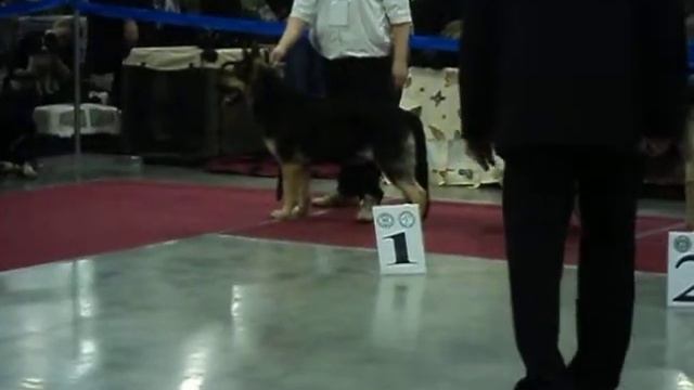 MOV03456.AVI Сравнение на ЛС