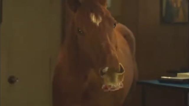 Talking horse voice over www.markbknight.com. Mark Knight: British, smart, sexy, wry. смотреть онлайн