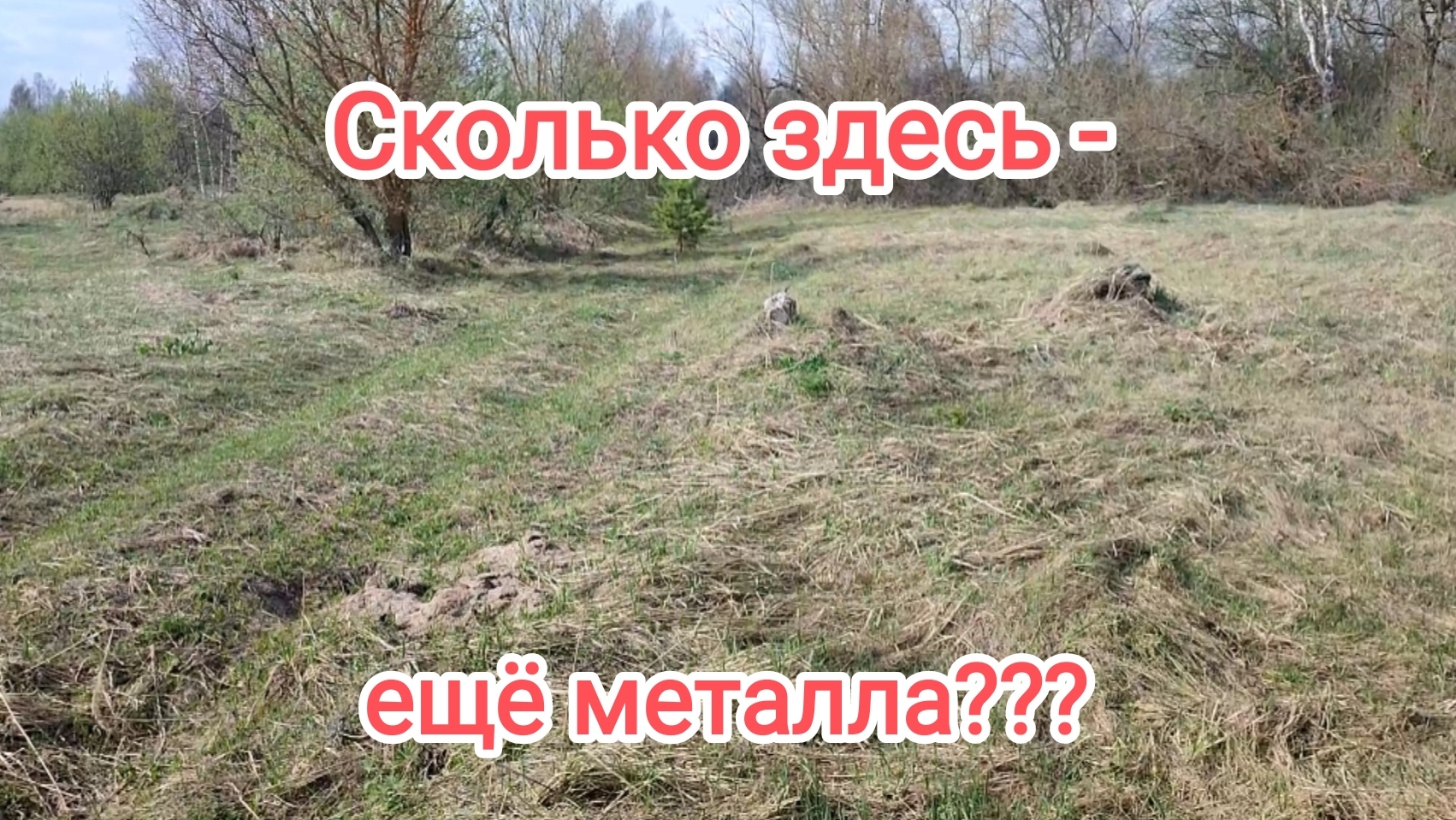 Кто здесь только не копал!!!А металл всеравно есть!!! смотреть онлайн
