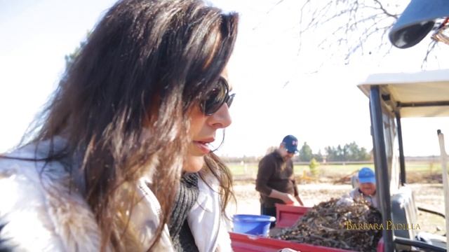 Bárbara Padilla’s Travel Adventures. Episode 1 The Pecan Farm In Las Cruces. смотреть онлайн