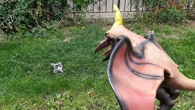 Спасение котят смотреть онлайн