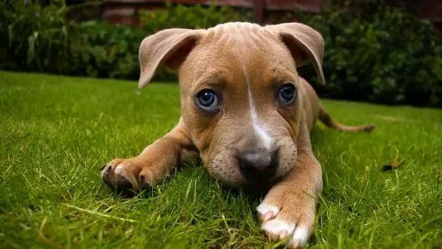 Моя мечта! Просто класс! Полет души! смотреть онлайн