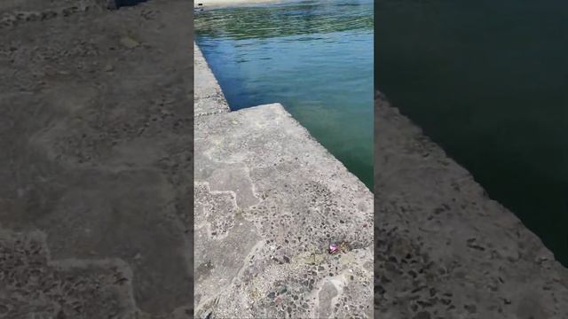 Море в смартфоні. 02.08.24. Підтримка автора 4149 6090 2565 0906. смотреть онлайн