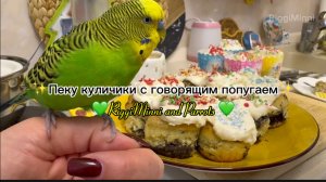 Пеку куличики с волнистым попугаем по имени Антошка