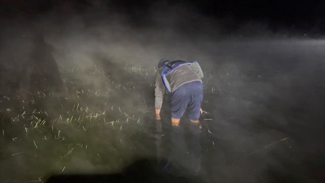 Catching Beautiful PB Carp at the 5th FK Specimen Carp Classic | Roodekoppies Dam смотреть онлайн