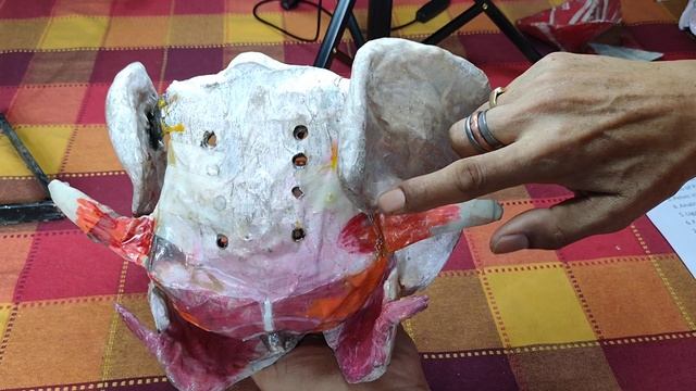 pelvic girdle and perineum- part-1 #pelvicgirdle #perinium #anatomy #teachingpelvicgirdle смотреть онлайн