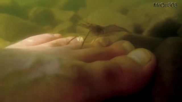 Педикюр по-курчатовски