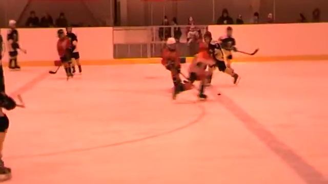 21-23.11.2014 Заря - Кречеты период 2 смотреть онлайн