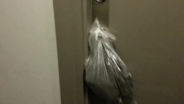 СНЕГОПАД В ТОРОНТО | Жизнь в Канаде | Snowing CANADA смотреть онлайн