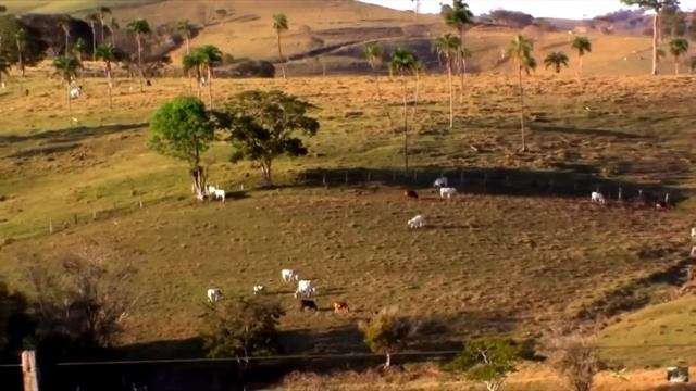 Дрон сделал пугающее открытие, которое напугало весь мир! Вериться с трудом! смотреть онлайн