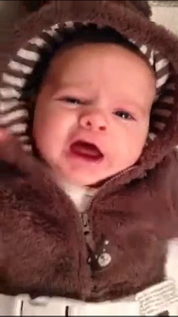 Bear hoodie смотреть онлайн