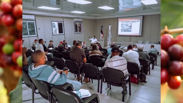 100 DIAS DEL INSTITUTO DOMINICANO DEL CAFÉ