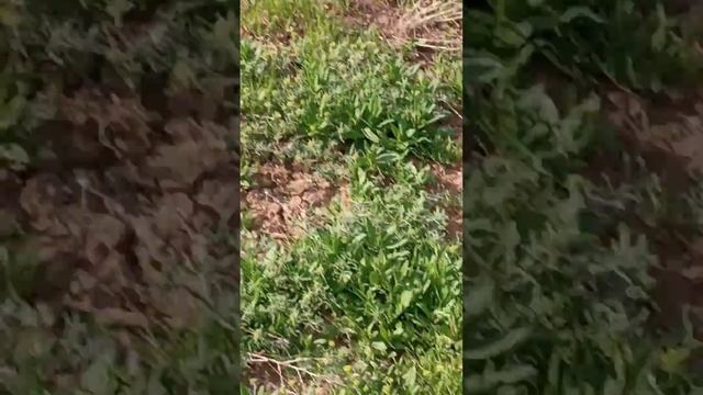 Провальная воронка Куб